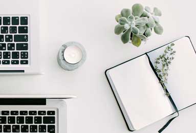 乐鱼官网：开启娱乐新纪元的官方体验